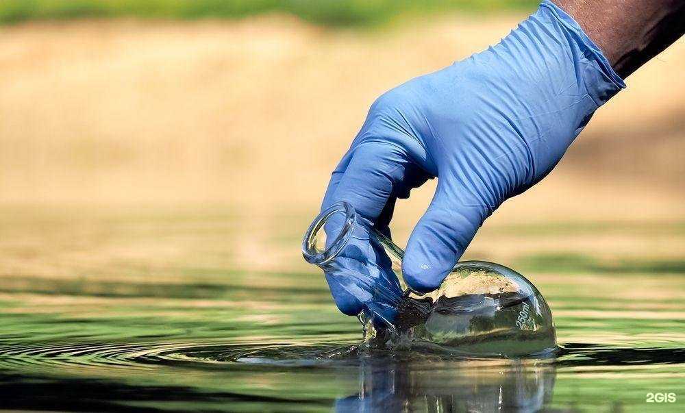 Отзывы на компанию Качество в г. Сочи c фото