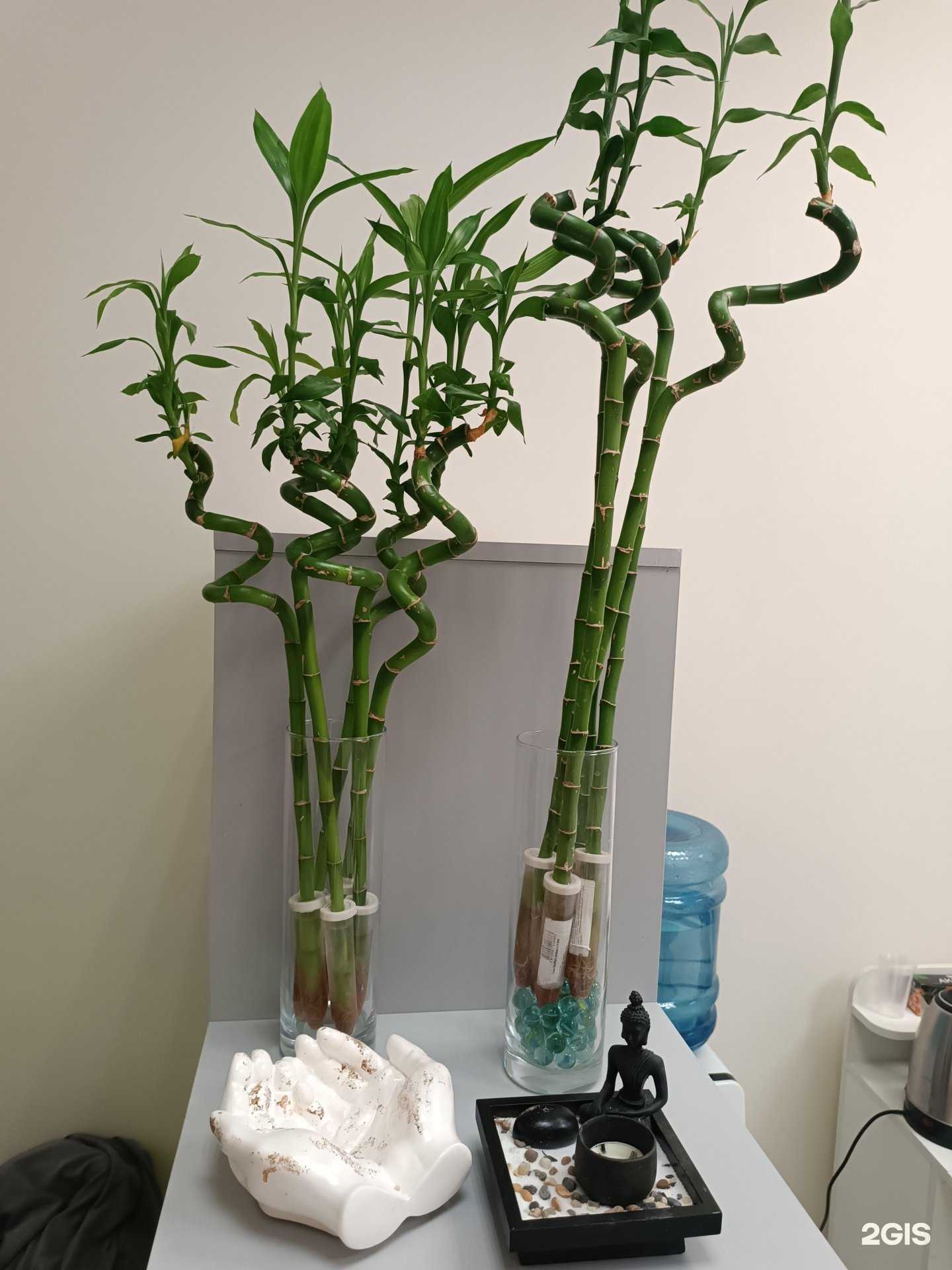 Отзывы на компанию На Ленинской в г. Королёв c фото