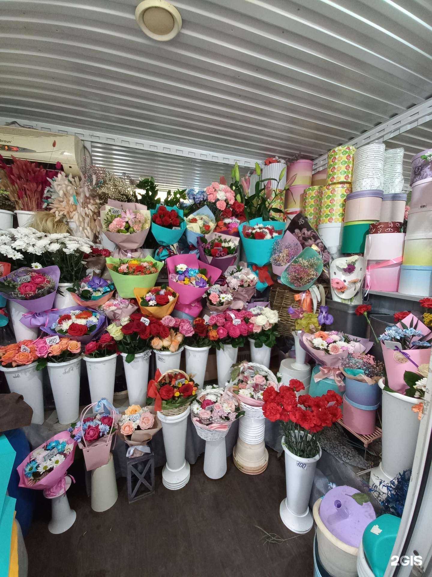 Отзывы на компанию Florence в г. Сызрань c фото