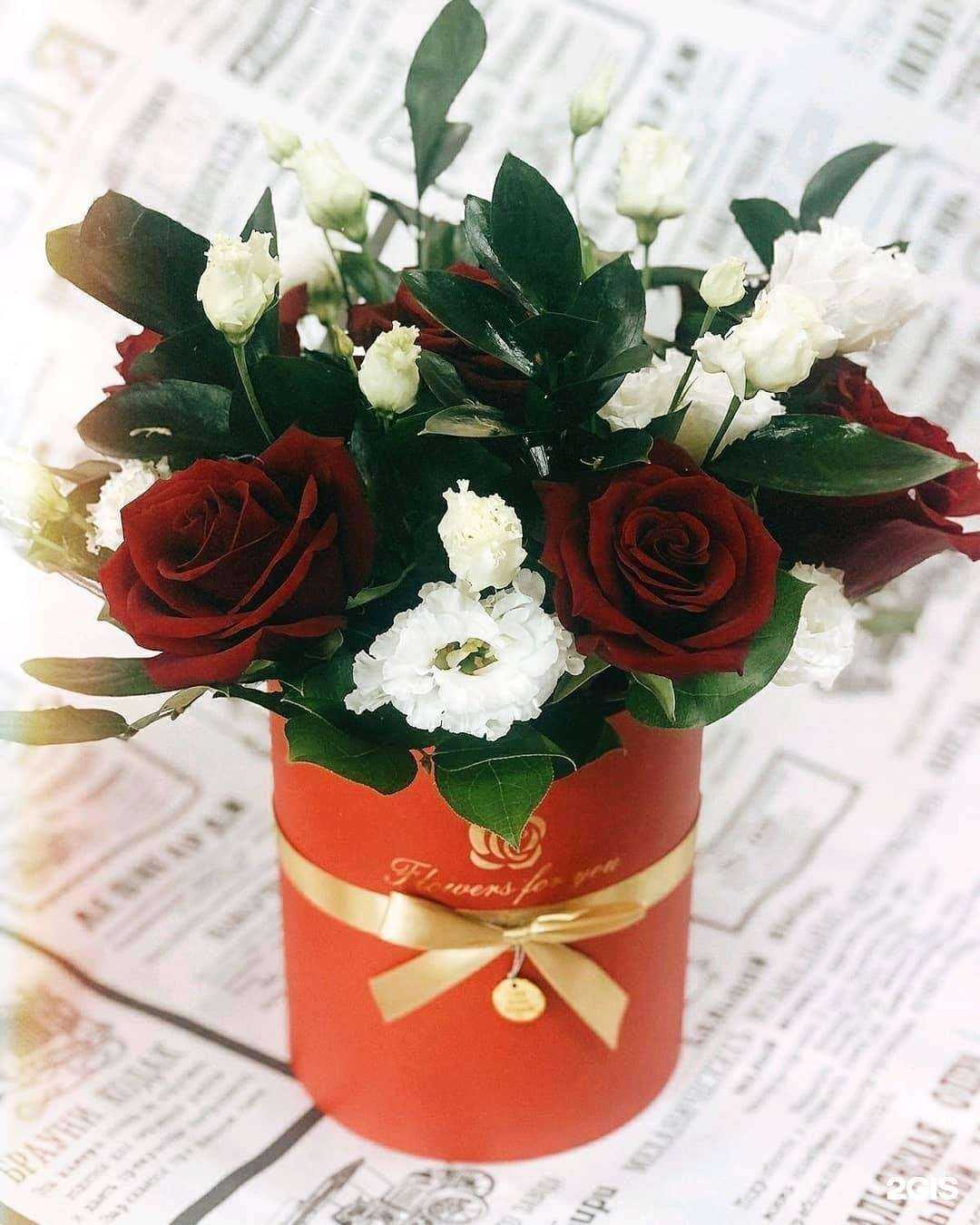 Отзывы на компанию Оазис в Чите c фото