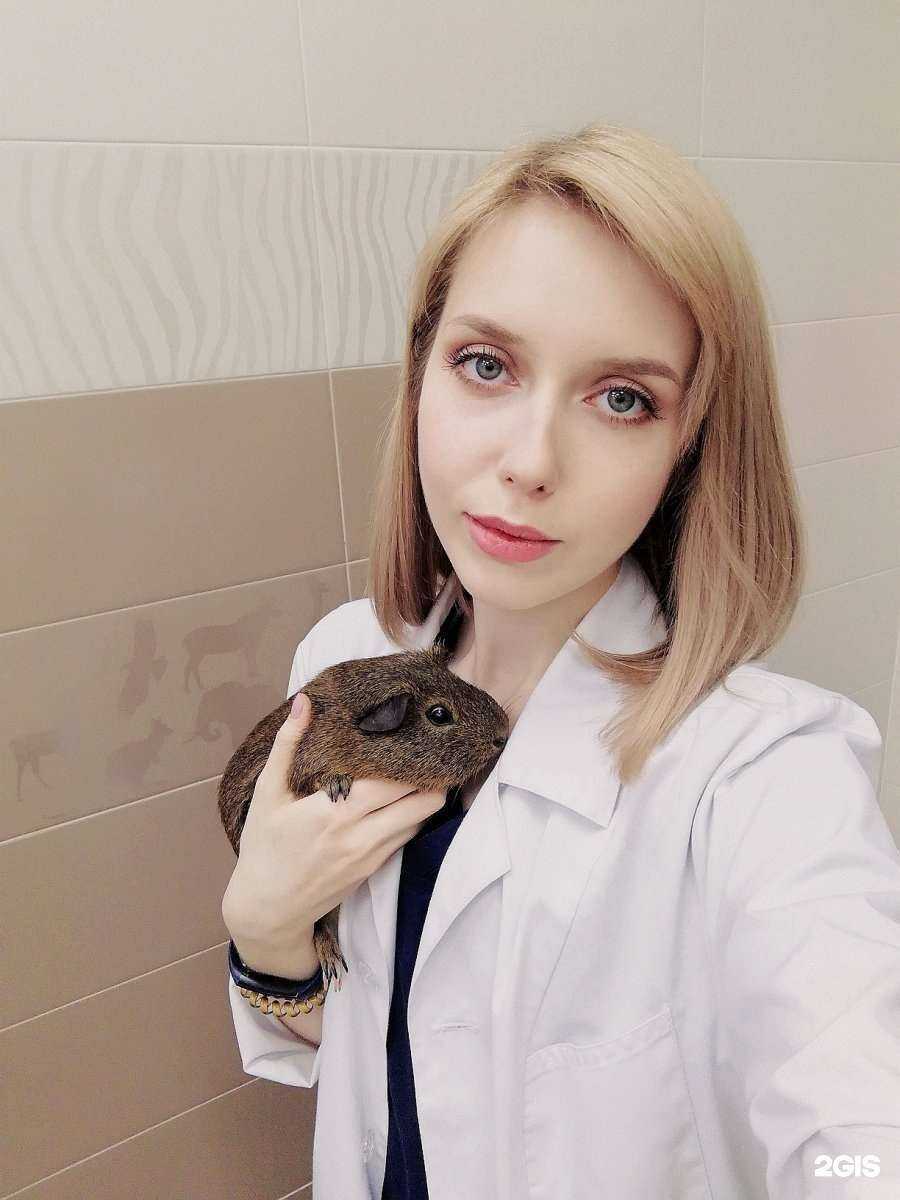 Отзывы на компанию ДокторВет в Казани c фото