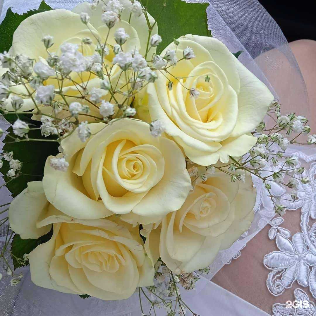 Отзывы на компанию Магазин цветов и подарков в г. Новошахтинск c фото