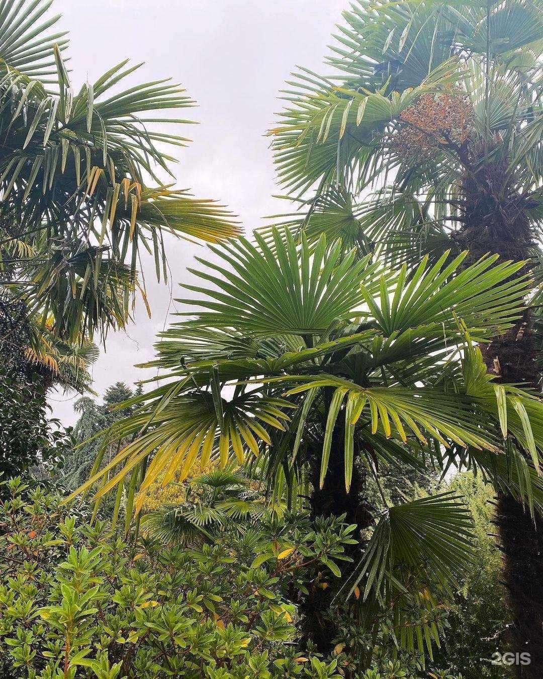 Отзывы на компанию Спутник в г. Ростов-на-Дону c фото