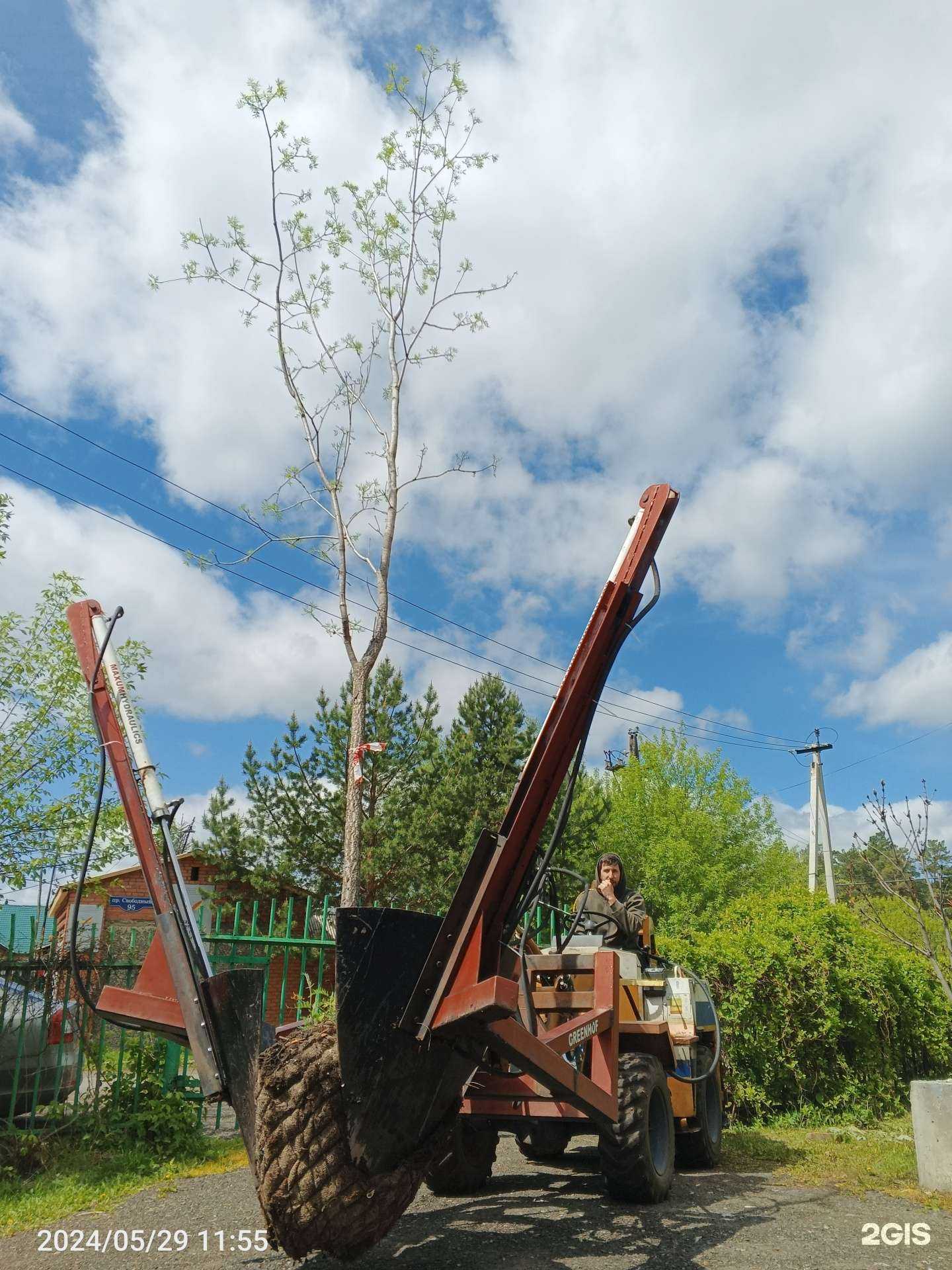 Отзывы на компанию Красноярский городской центр озеленения в г. Красноярск c фото