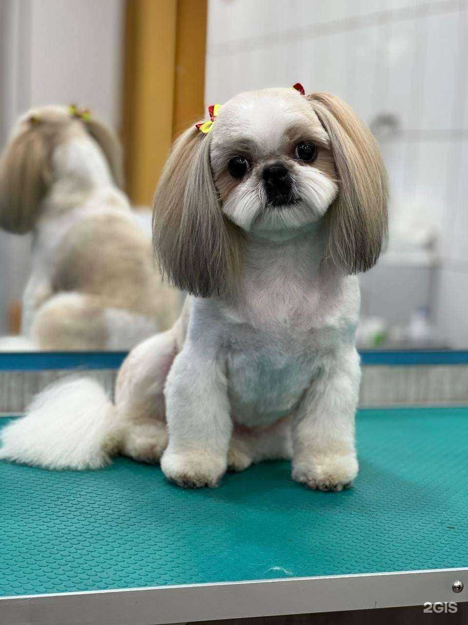 Отзывы на компанию Groom в г. Ижевск c фото