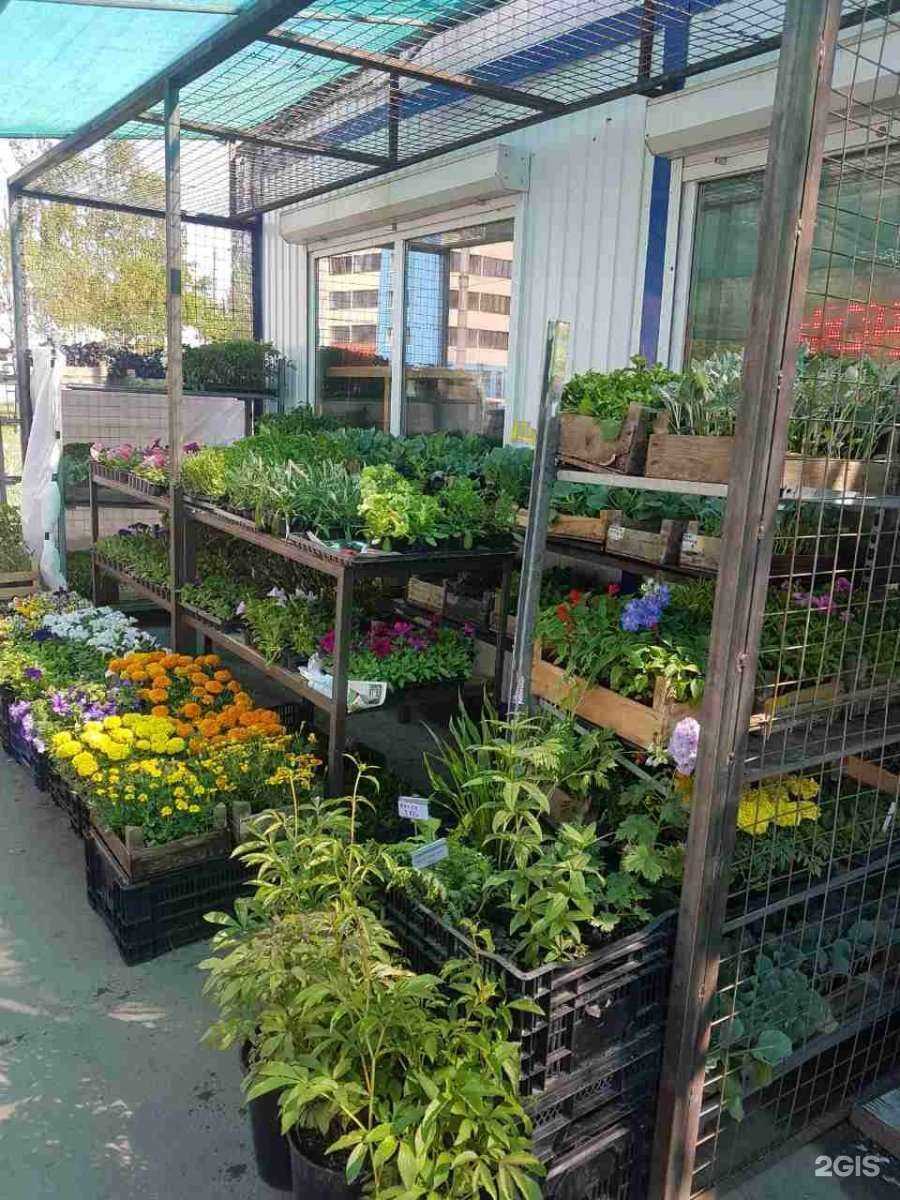 Отзывы на компанию Агромагистраль в г. Самара c фото