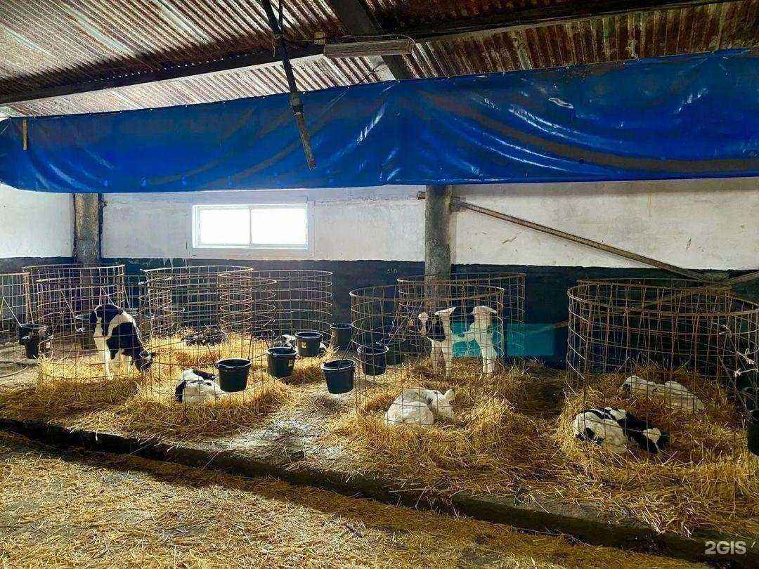 Отзывы на компанию Ярмарка в Лениногорске c фото