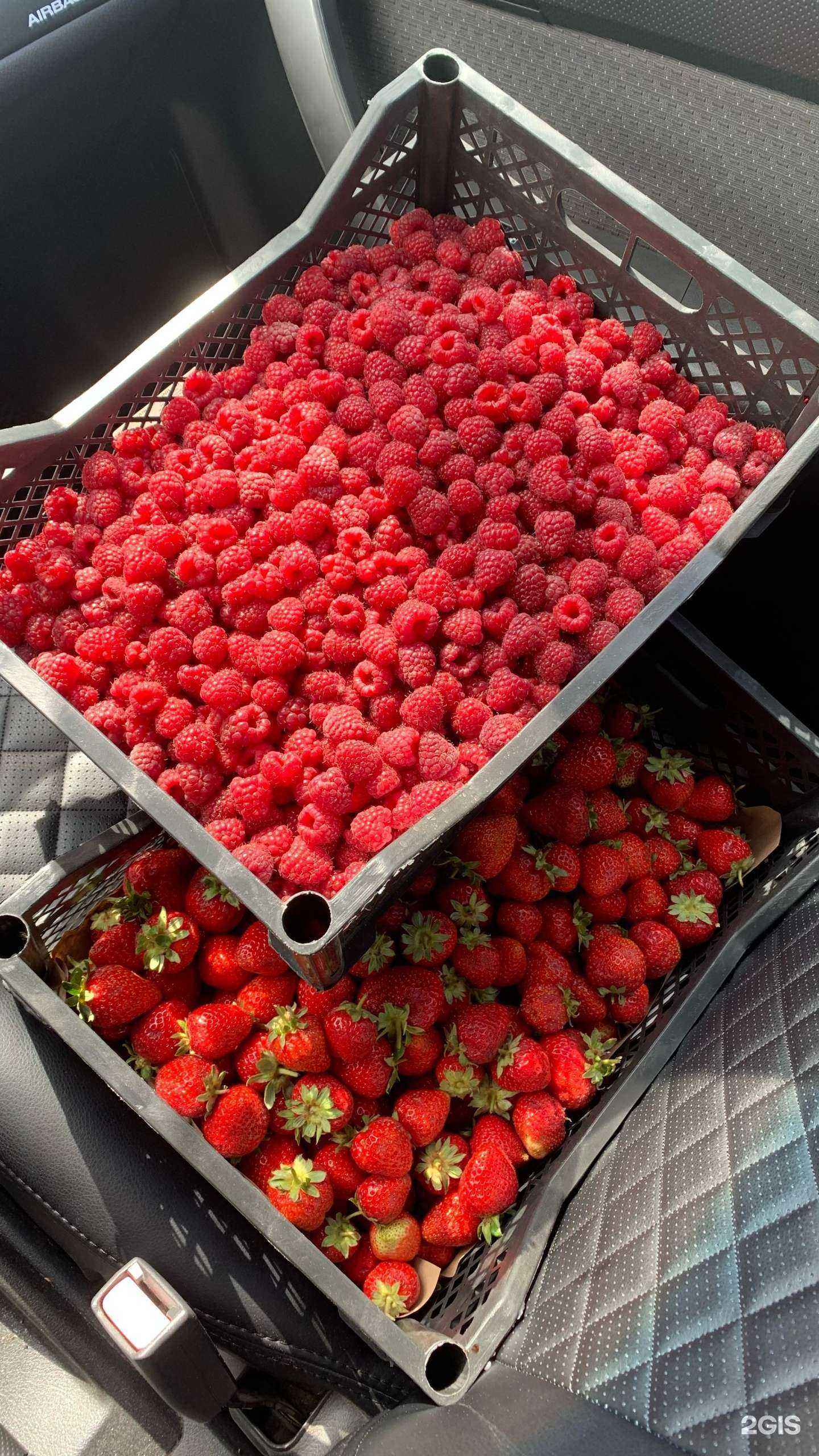 Отзывы на компанию Рыбmagнит в Магнитогорске c фото