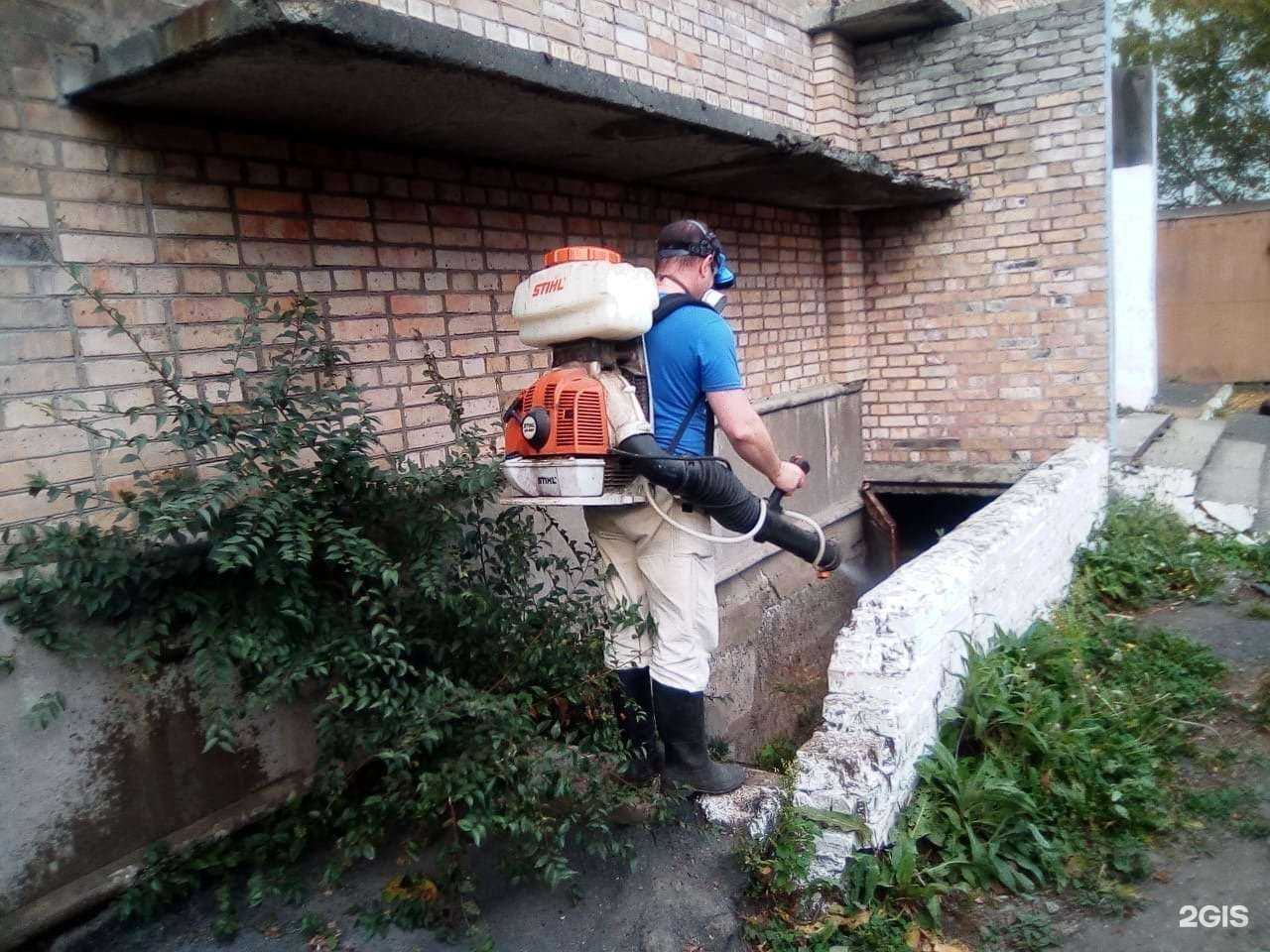 Отзывы на компанию ecoz в Владивостоке c фото