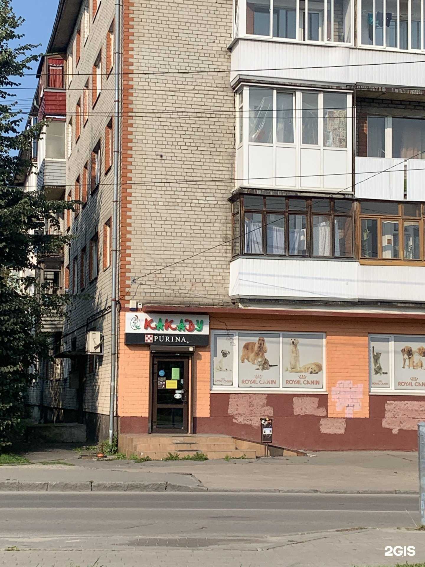 Отзывы на компанию Какаду в Калининграде c фото