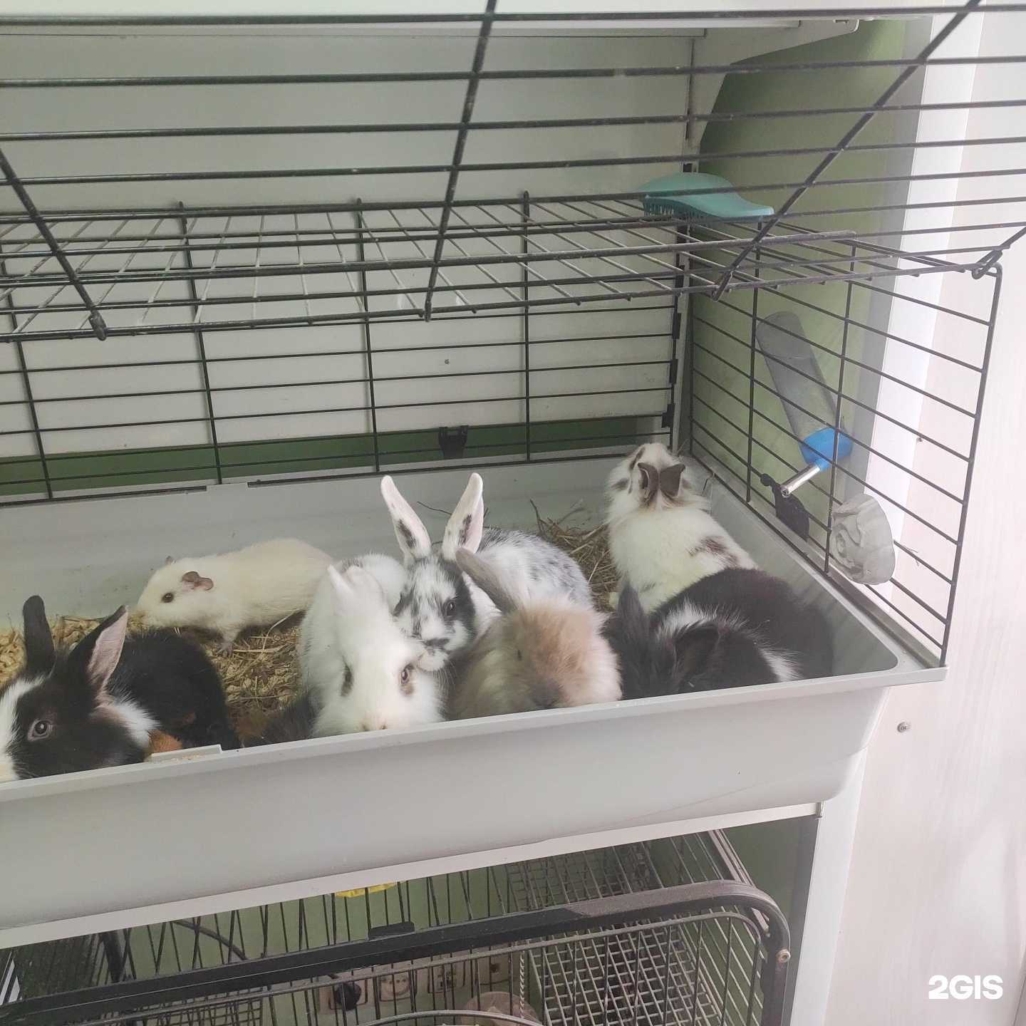 Отзывы на компанию Белочка и стрелочка в Перми c фото