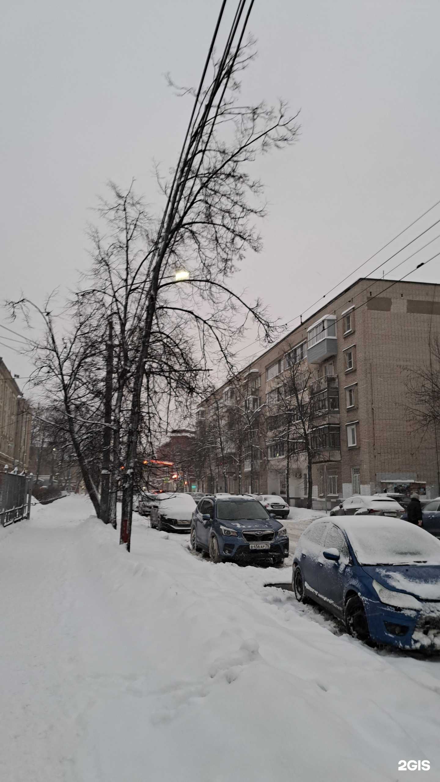 Отзывы на компанию Химтэк в Ярославле c фото - фотография 2 из 2