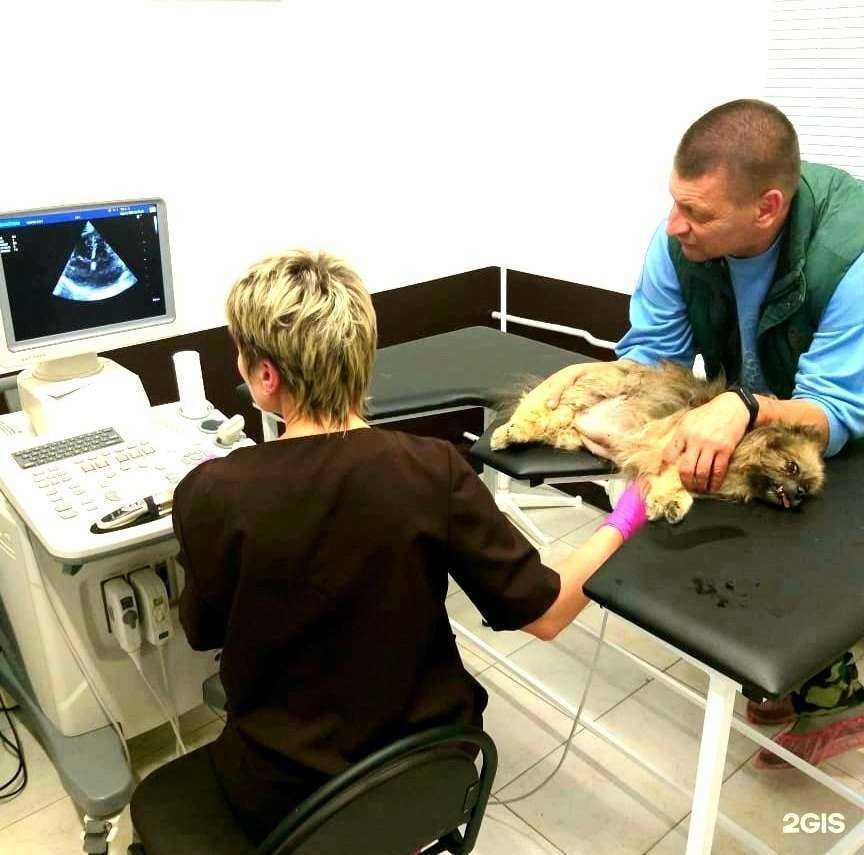 Отзывы на компанию Napoleon в г. Ярославль c фото