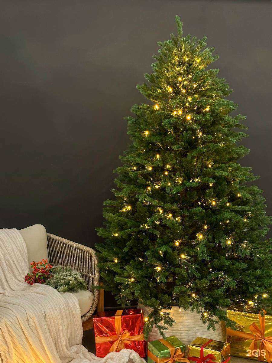 Отзывы на компанию Letomarket в Кемерове c фото