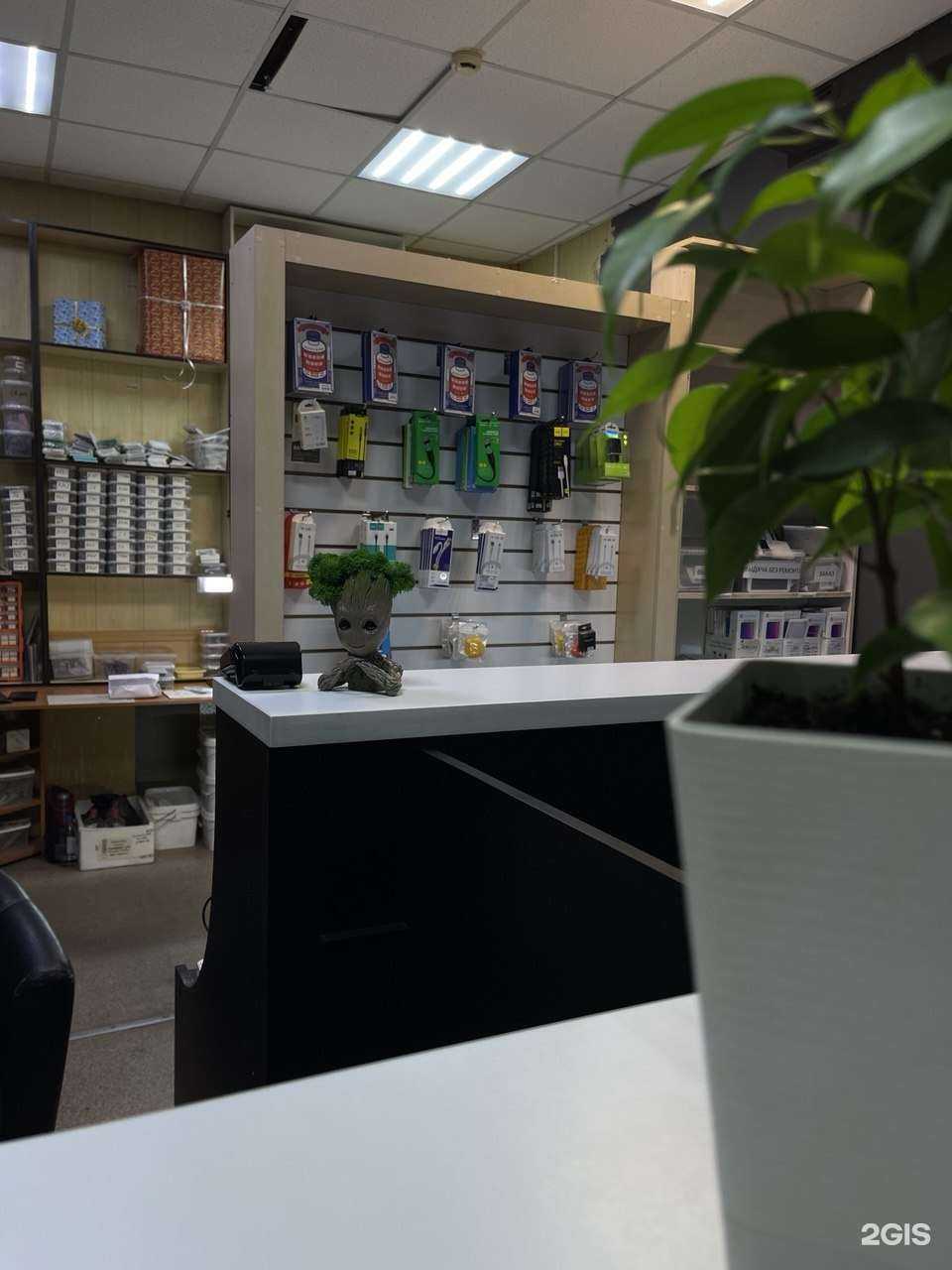 Отзывы на компанию Кролик в г. Петропавловск-Камчатский c фото