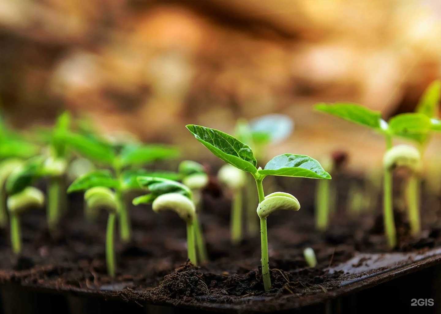 Отзывы на компанию Страда, ООО в г. Кирово-Чепецк c фото