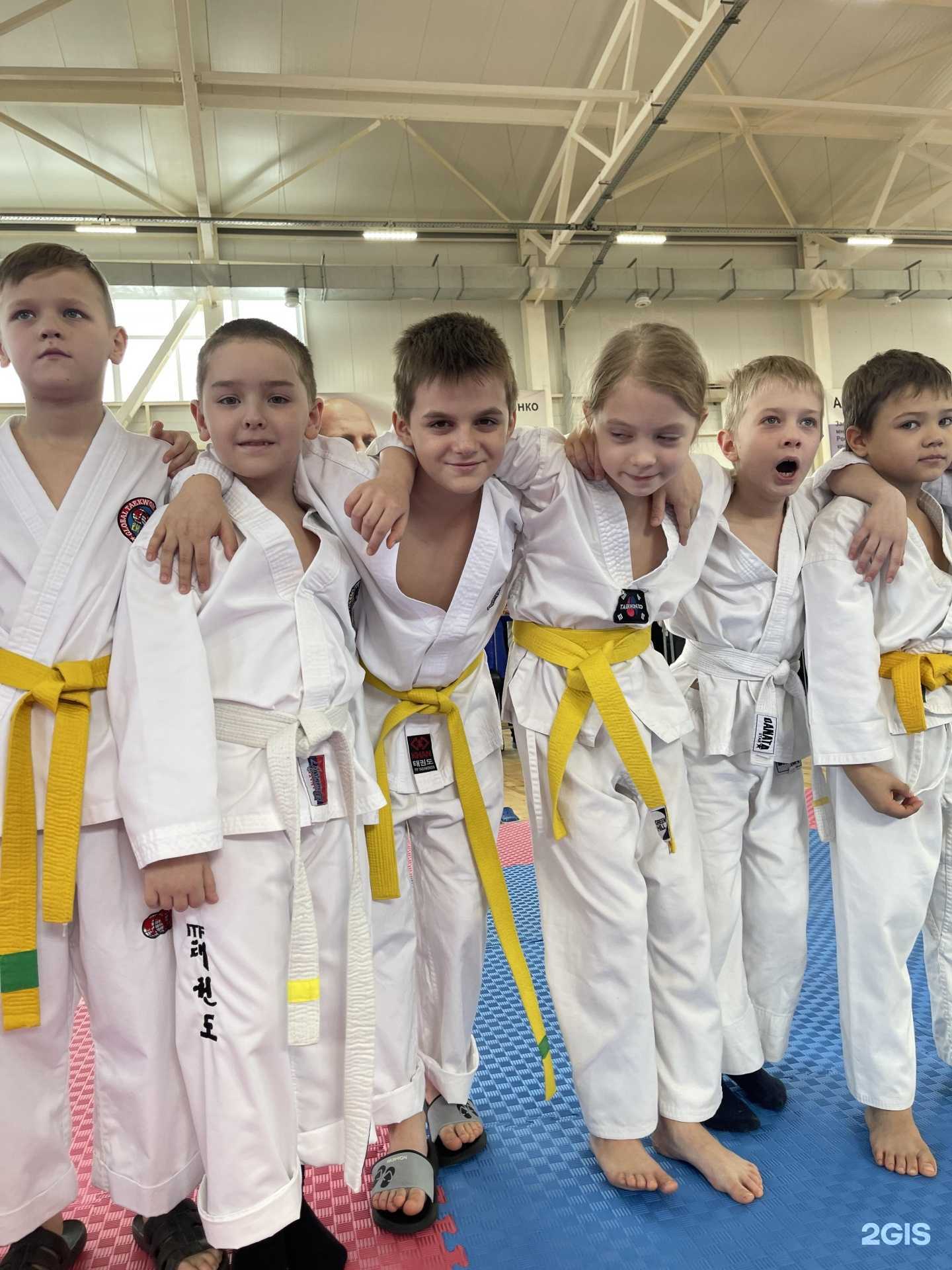 Отзывы на компанию Golden Lion в Краснодаре c фото