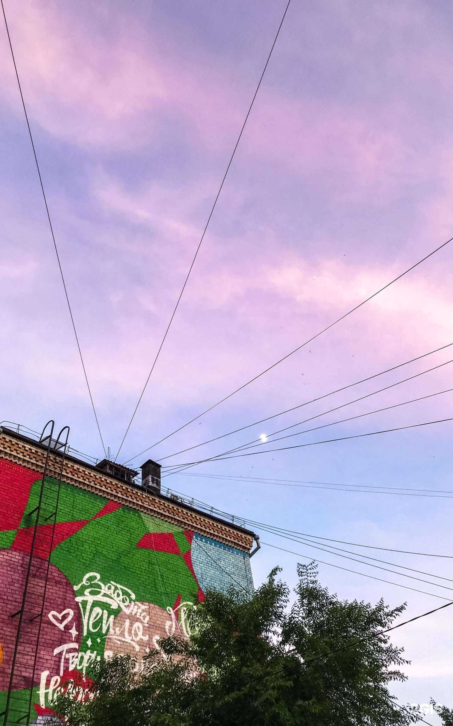 Отзывы на компанию Helen в Хабаровске c фото - фотография 2 из 2