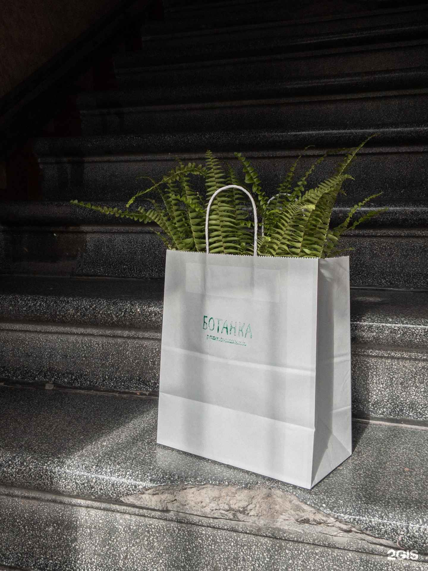 Отзывы на компанию Растенишная Ботанка в Краснодаре c фото