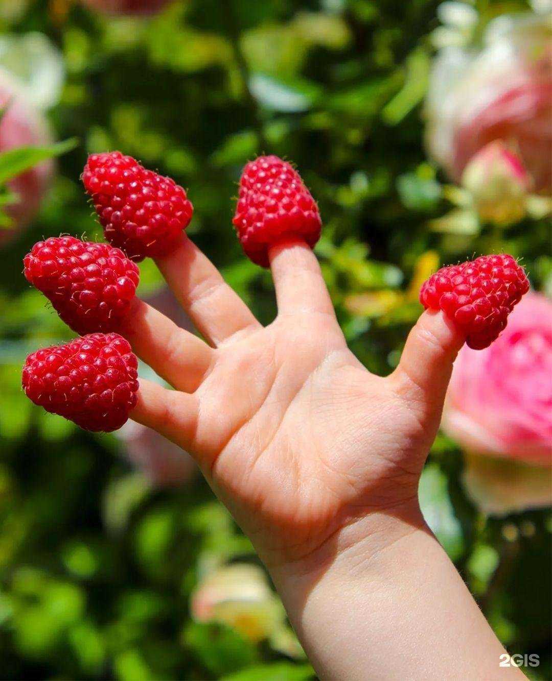 Отзывы на компанию Дарвин в Солнечногорске c фото