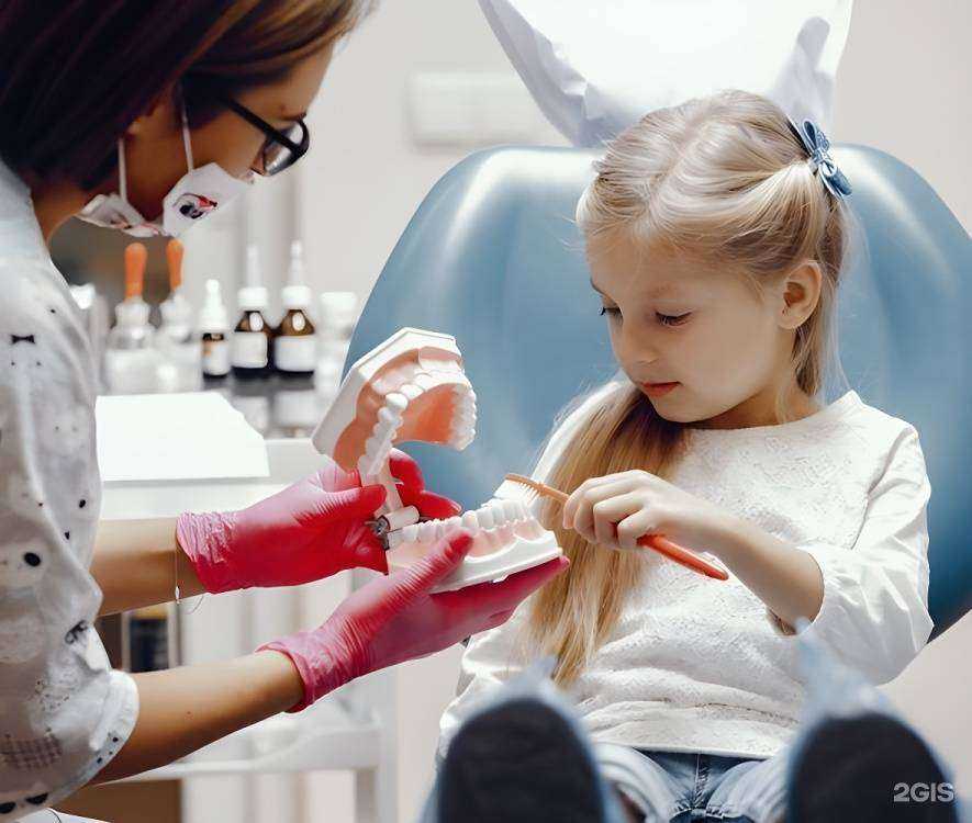 Отзывы на компанию Без слёз в Барнауле c фото