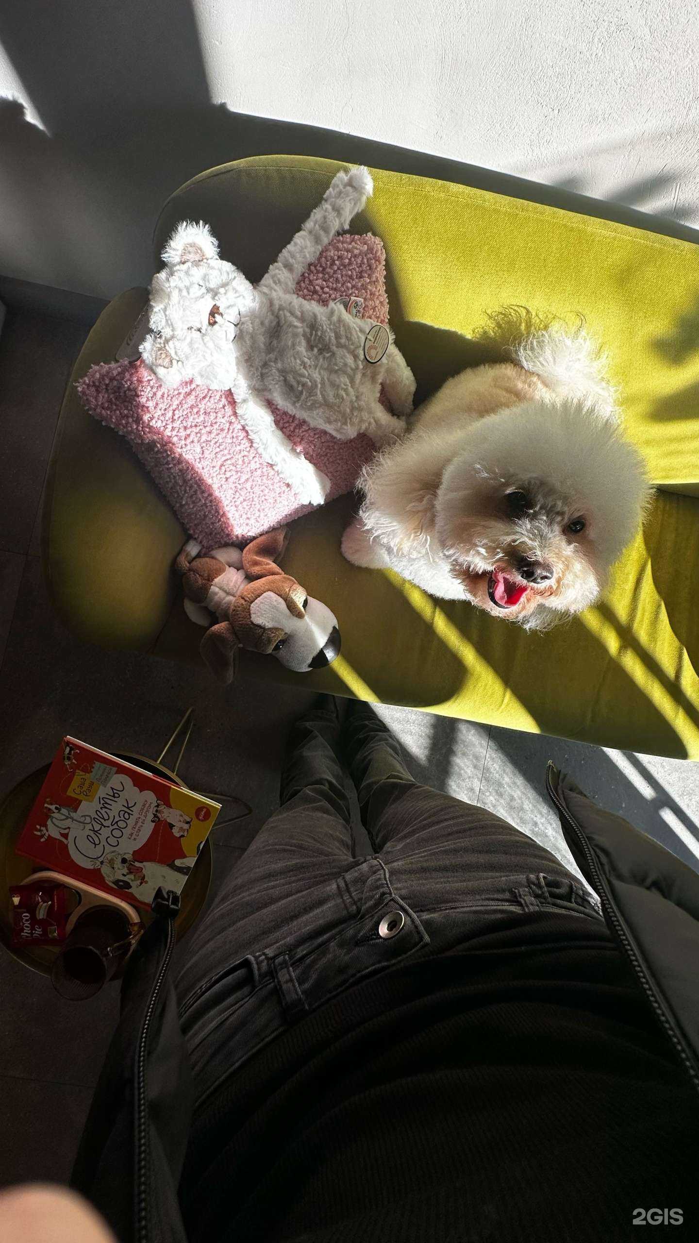 Отзывы на компанию The woof в Коммунарке c фото