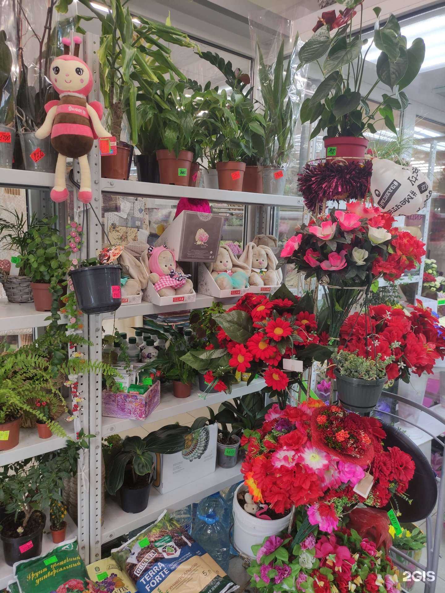 Отзывы на компанию Идея букета в Реутове c фото