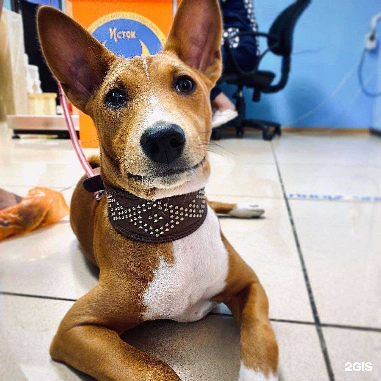 Отзывы на компанию Исток в Воронеже c фото