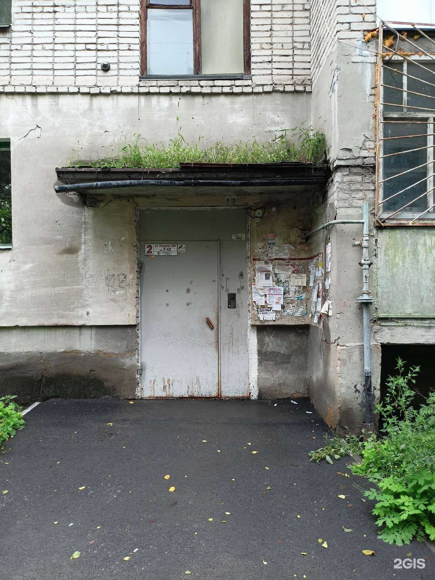 Отзывы на компанию Слон цветов в Кургане c фото - фотография 2 из 2