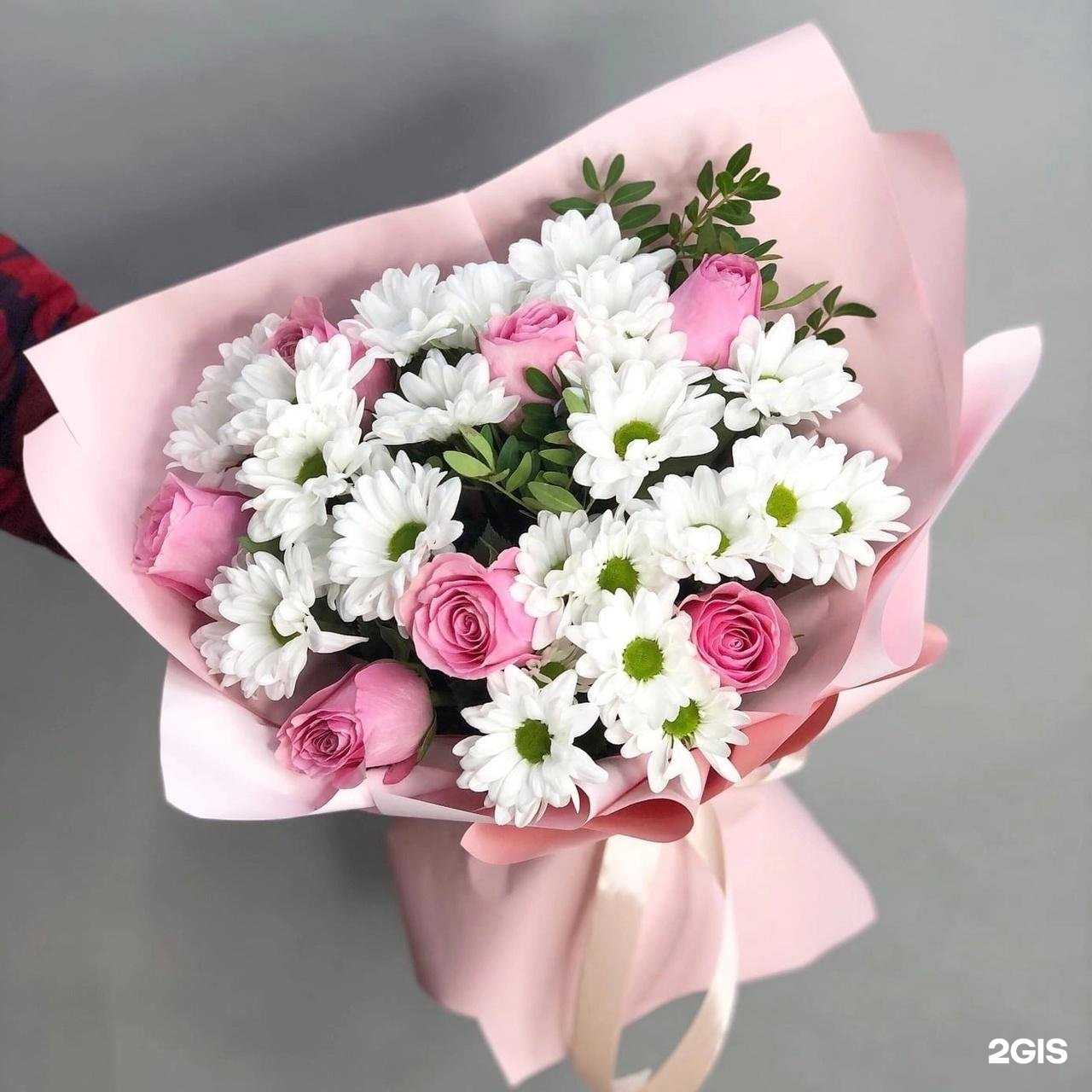 Отзывы на компанию Умка в Сочи c фото