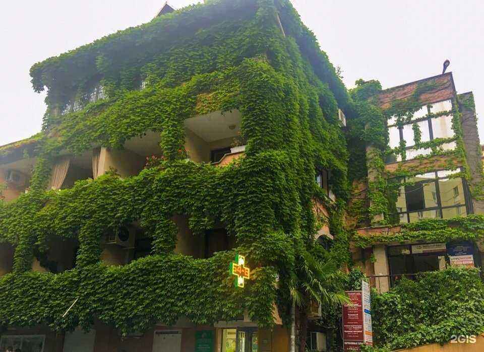 Отзывы на компанию Wake Up в Сочи c фото - фотография 2 из 2