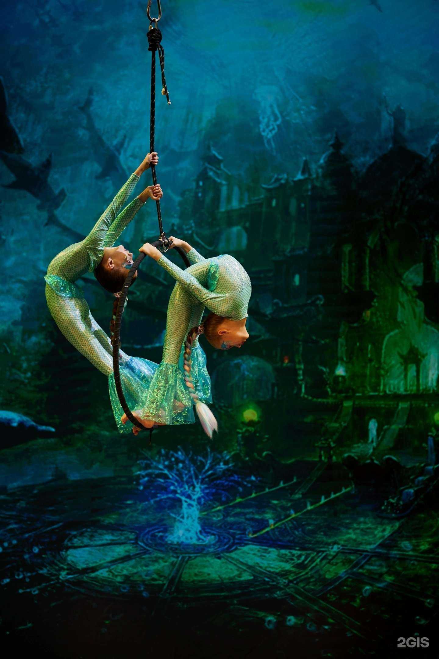 Отзывы на компанию FlyC в Сургуте c фото