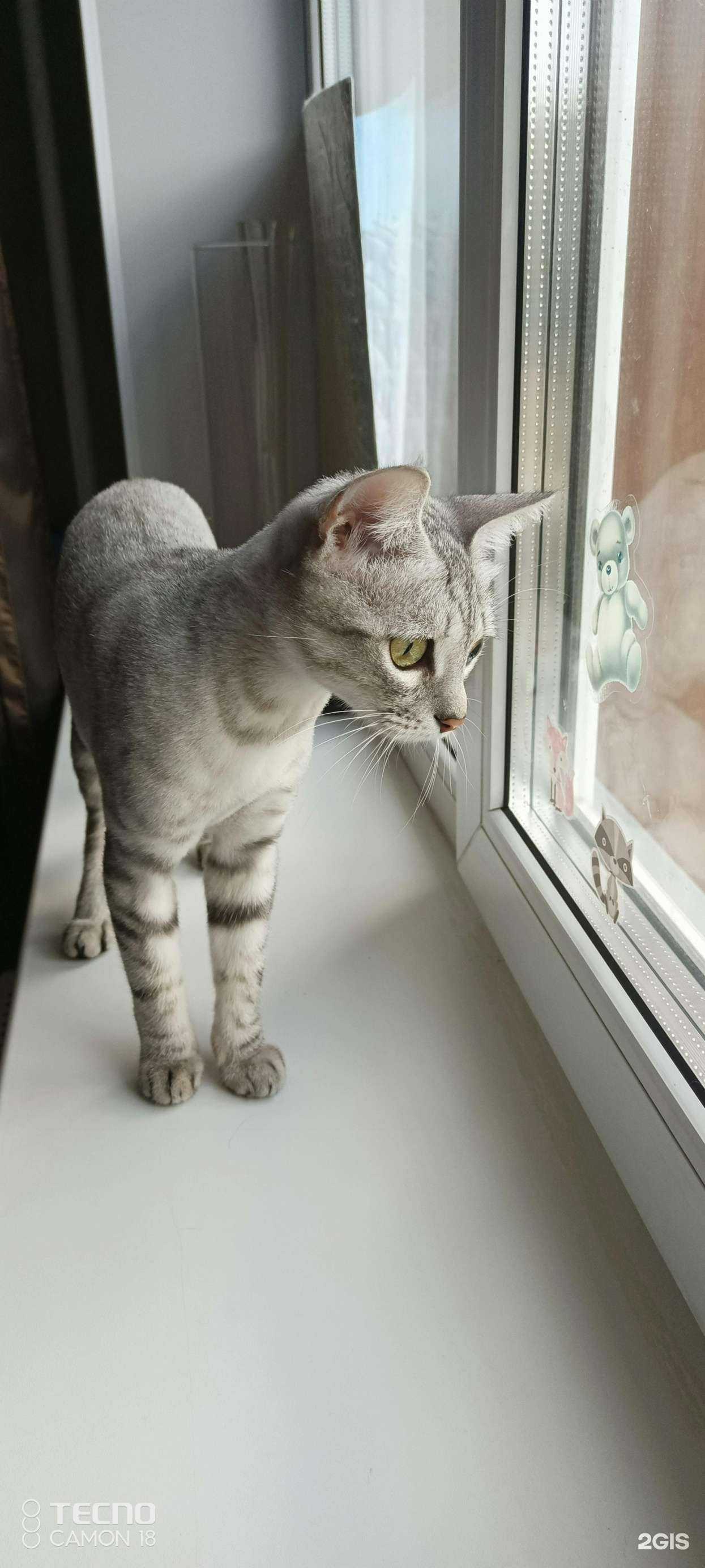 Отзывы на компанию Лямурр в г. Новосибирск c фото