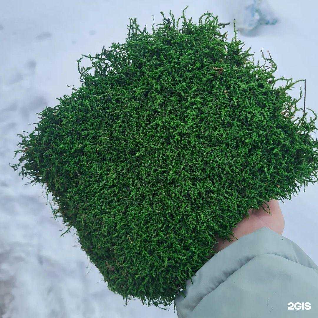 Отзывы на компанию FlowersKazan в г. Казань c фото