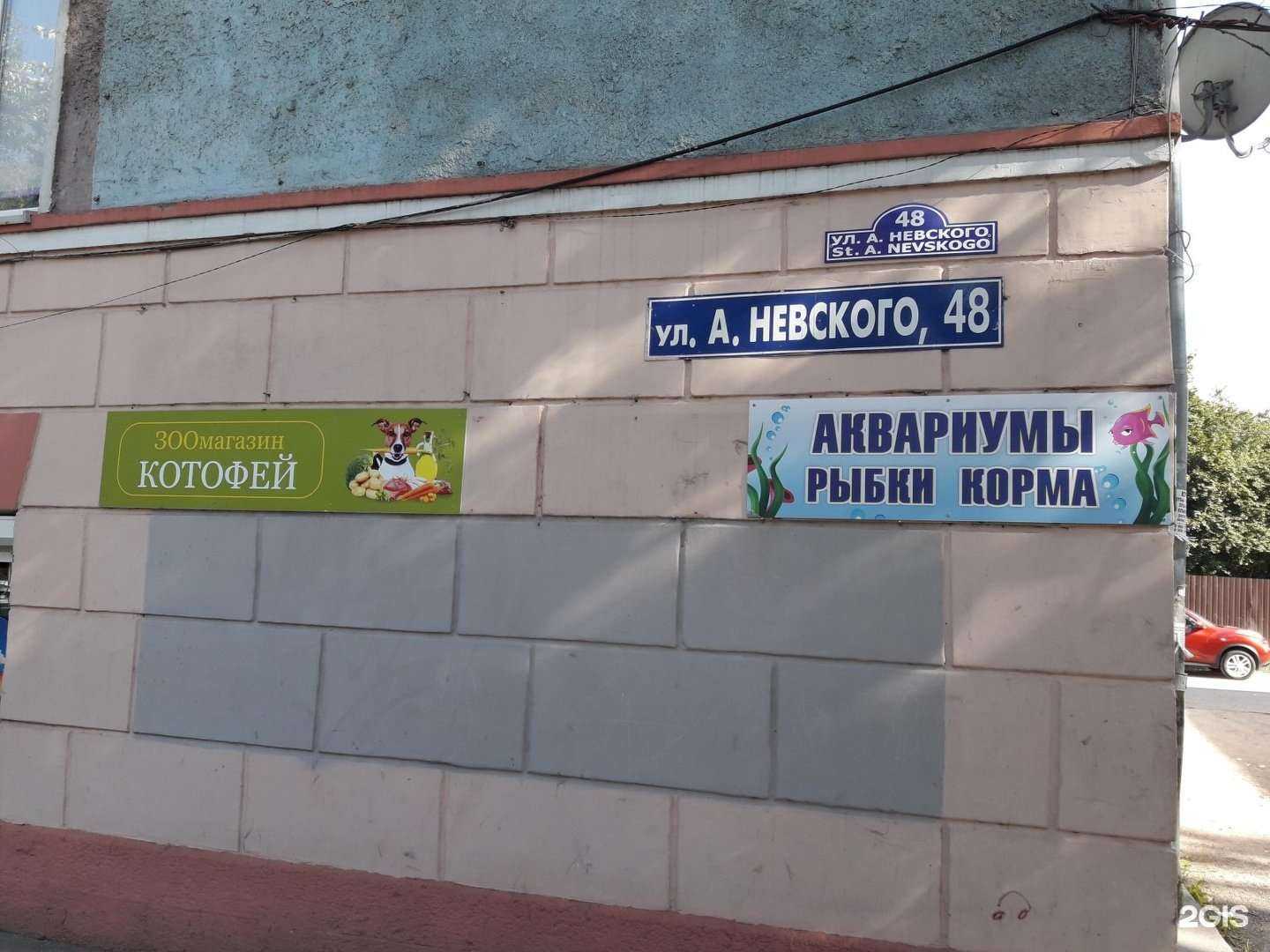 Отзывы на компанию Котофей в Калининграде c фото