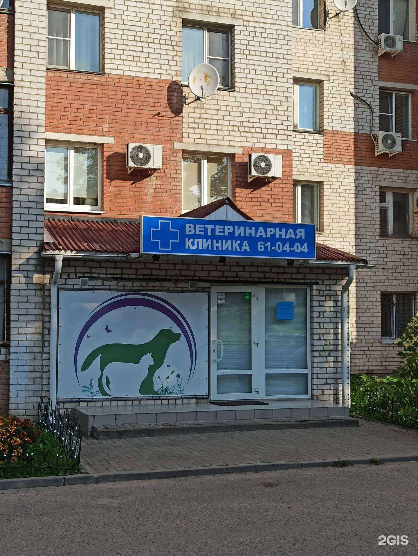 Отзывы на компанию Ветеринарная клиника на Шевченко в Смоленске c фото