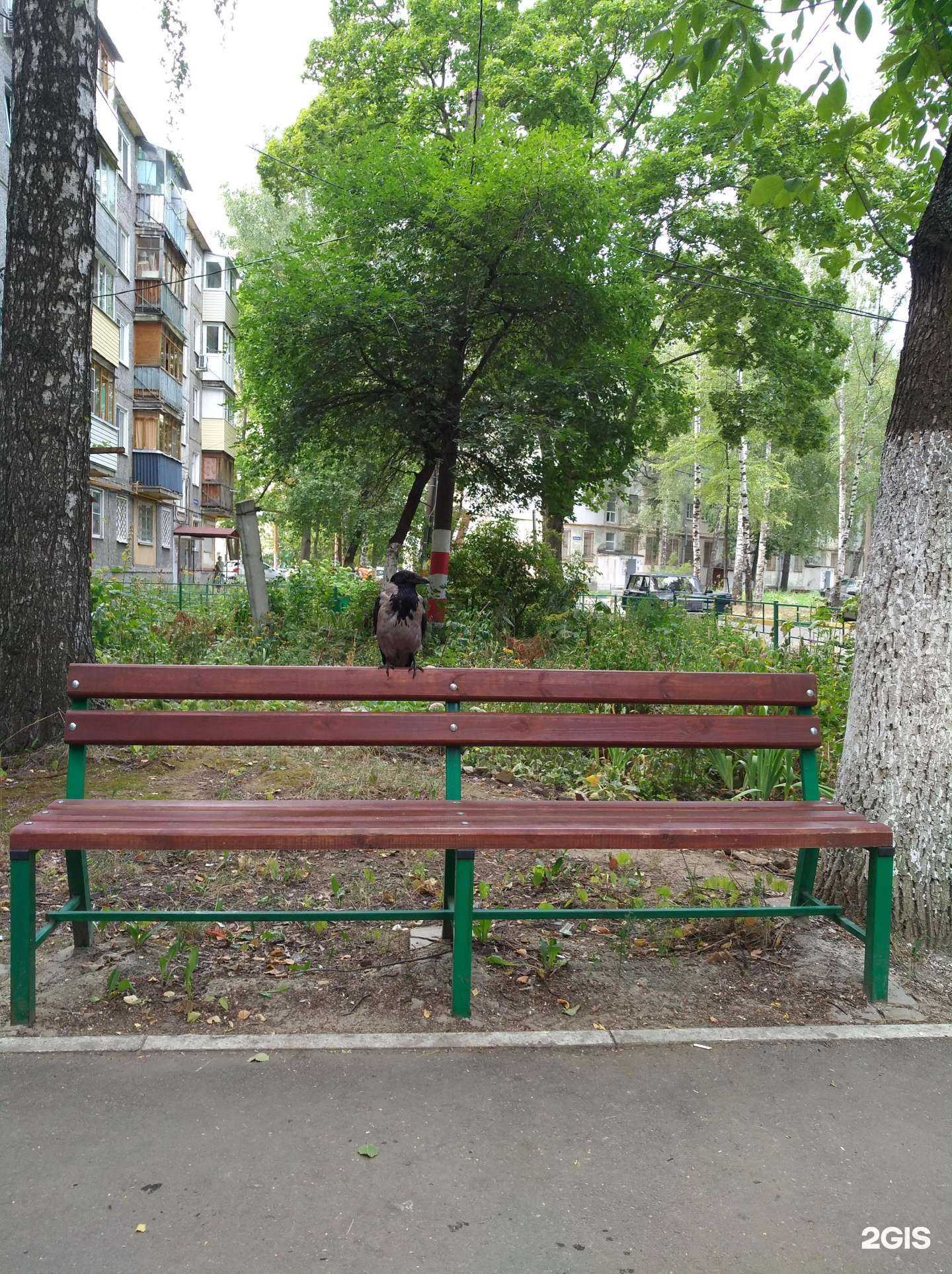 Отзывы на компанию Леди в Нижнем Новгороде c фото - фотография 2 из 2