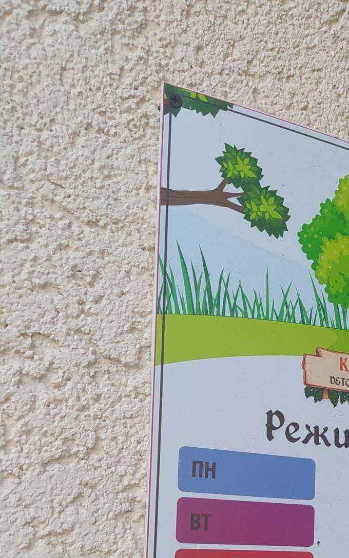 Отзывы на компанию Кот учёный в г. Анапа c фото