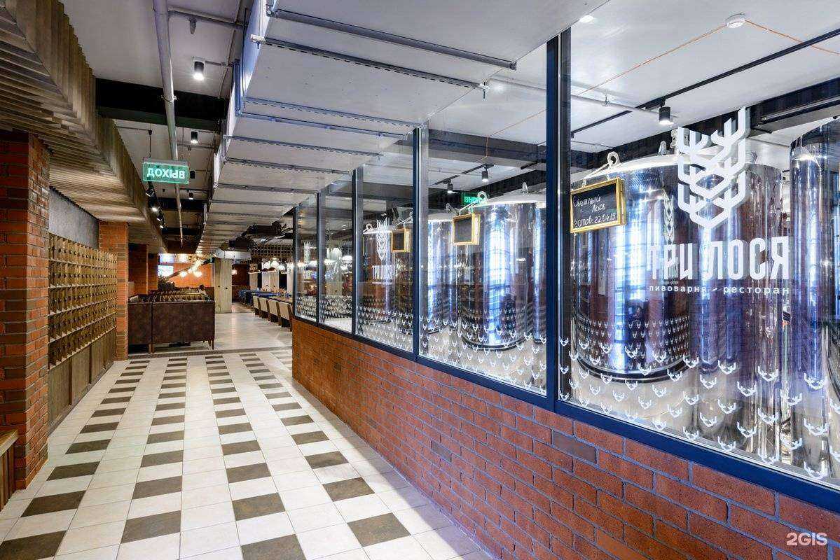 Отзывы на компанию Три лося в Новосибирске c фото