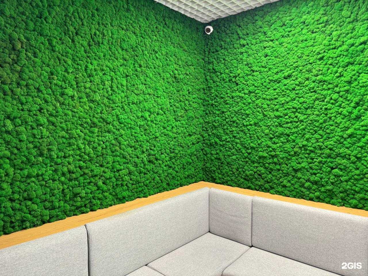 Отзывы на компанию Genios в г. Сочи c фото