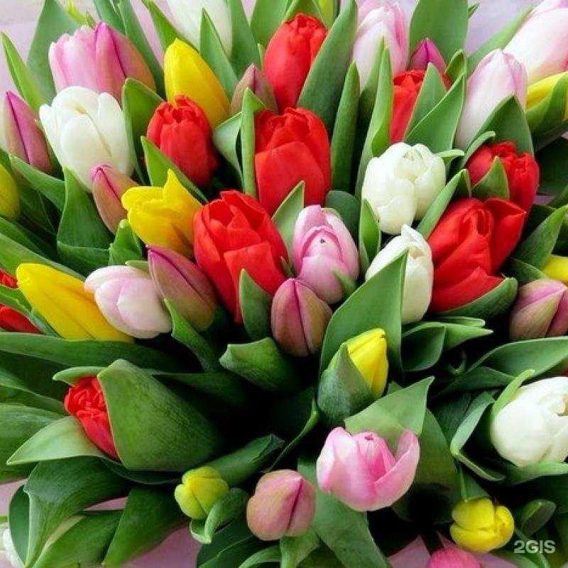 Отзывы на компанию Николь в Октябрьском c фото