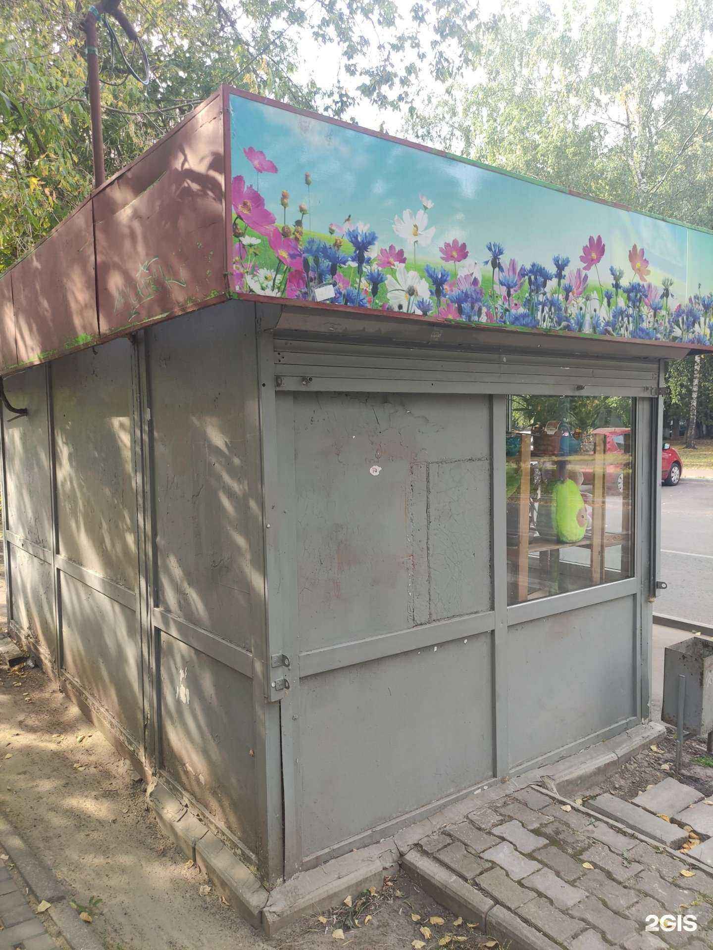 Отзывы на компанию Магазин цветов в г. Королёв c фото