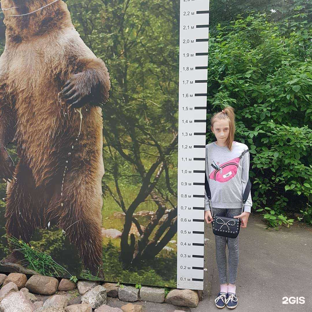 Отзывы на компанию ProRepetitor в г. Калининград c фото