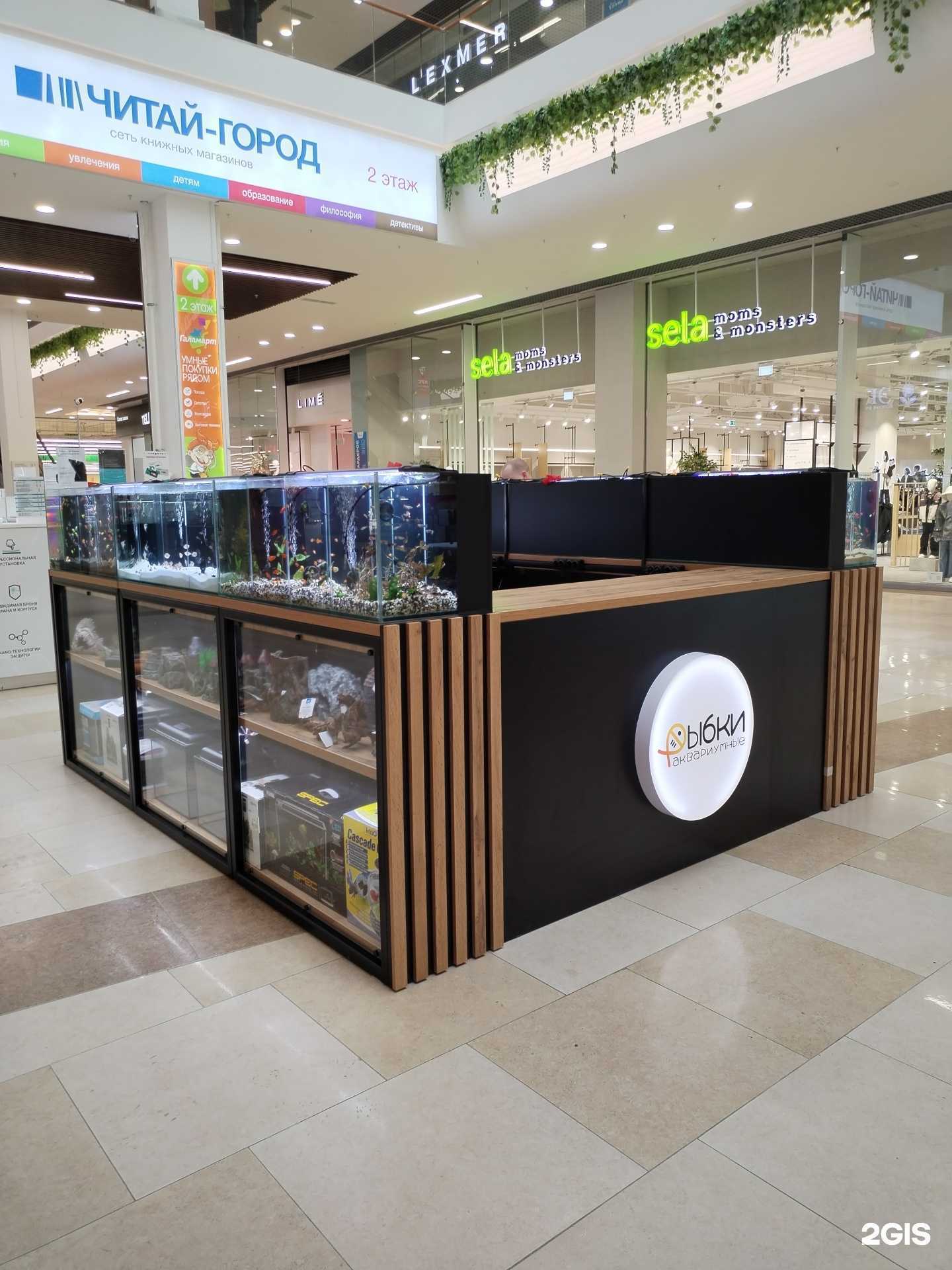 Отзывы на компанию Рыбки в г. Тюмень c фото