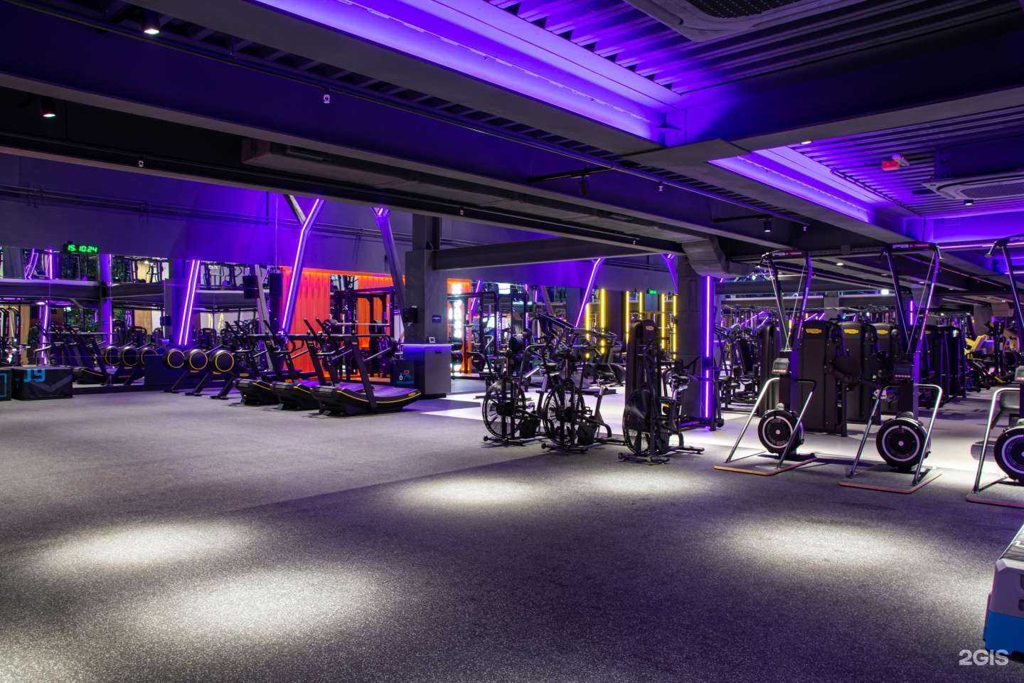 Отзывы на компанию DDX Fitness в г. Волгоград c фото