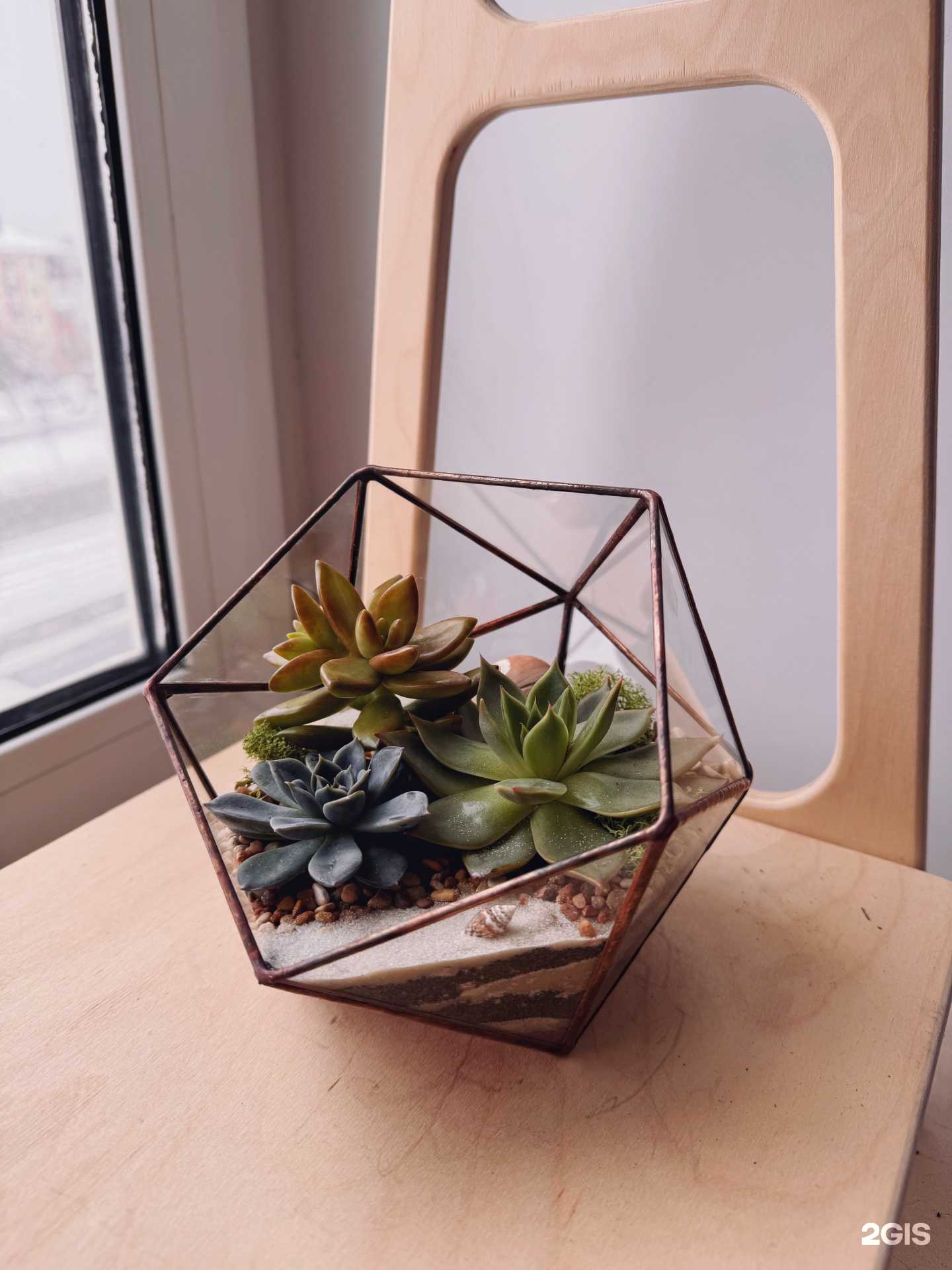 Отзывы на компанию Golden days в Ижевске c фото