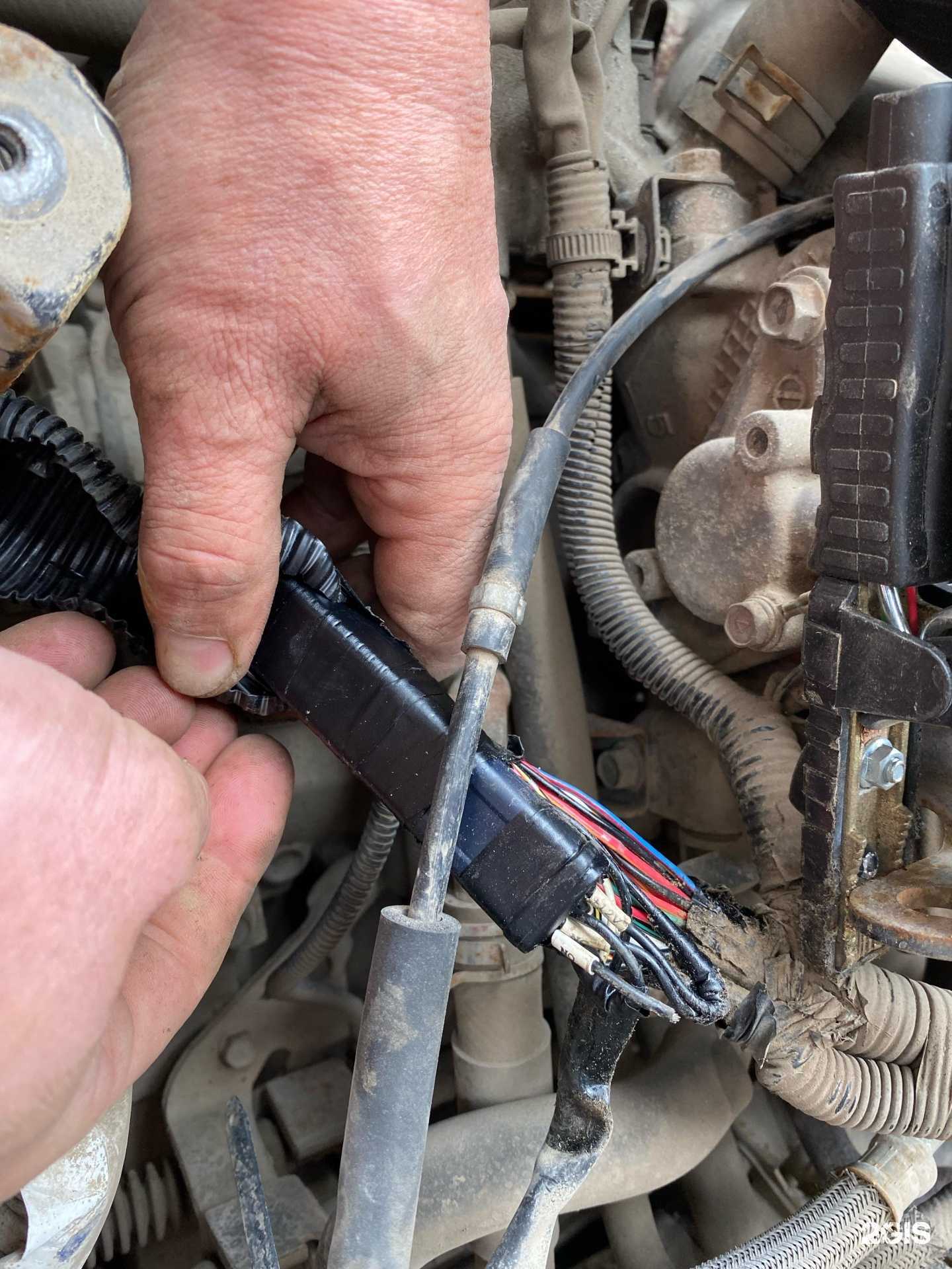 Отзывы на компанию Быстрый старт 59 в Перми c фото