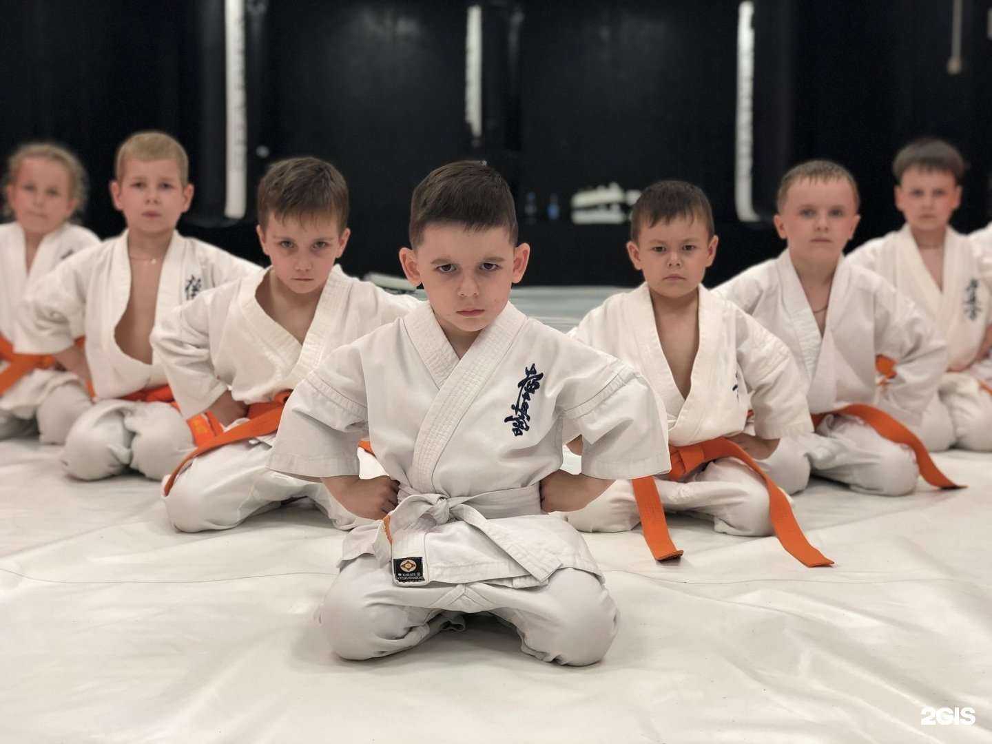 Отзывы на компанию Киокусинкай каратэ-до в г. Нижневартовск c фото
