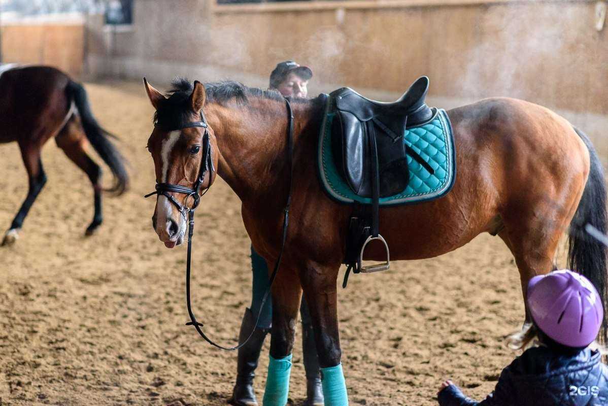 Отзывы на компанию Аллюр в Нижнем Новгороде c фото