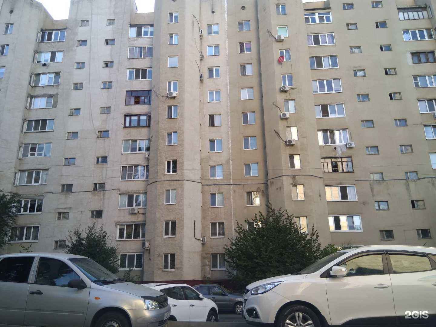 Отзывы на компанию Ветин в Белгороде c фото - фотография 2 из 2